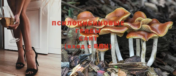шишки Балабаново