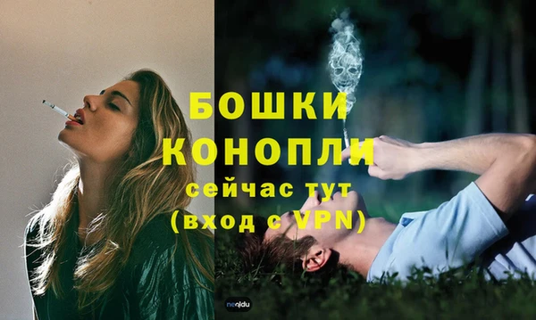 тгк Переславль-Залесский