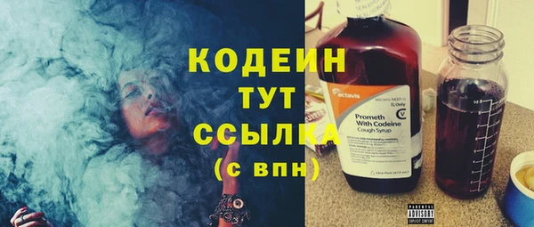 шишки Балабаново